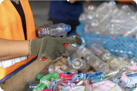 Acopio de botellas de PET