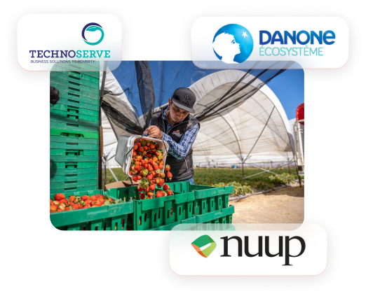 Danone ecosystem