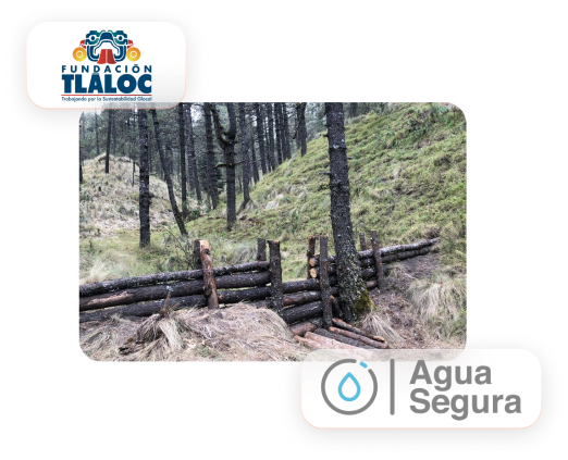 El nevado que queremos hacia 2030